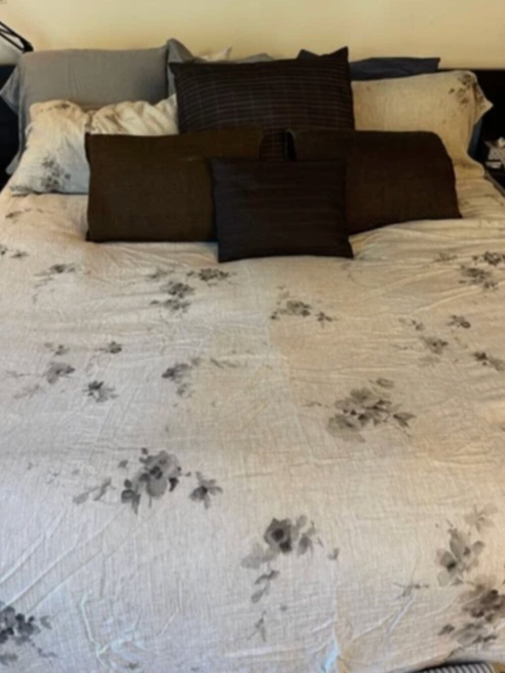 Anthropologie accent pillows